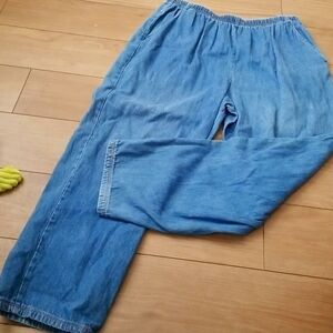 Blair 100% Cotton Elastic Waist Jeans Large